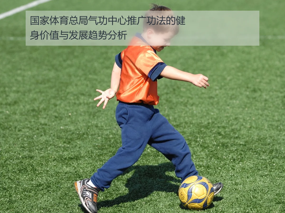 国家体育总局气功中心推广功法的健身价值与发展趋势分析